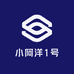 小阿洋1号