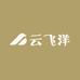 云飞洋