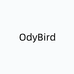 欧迪鸟OdyBird逸时尚女装专卖店