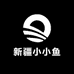 新疆小小鱼
