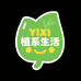 YIXI植系生活