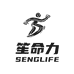 笙命力