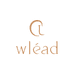 Wlead海外旗舰店