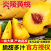 鲜果农三号仓