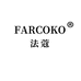 法蔻FARCOKO捷仓饰品专卖店