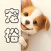 宠裕宠物