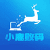 小鹿数码
