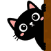 小志猫