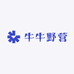 牛牛野营