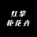 红掌柜花卉