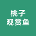 桃子观赏鱼