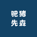 肥猪先森五金旗舰店