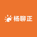 杨聊正互联网店