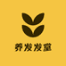 养发发堂