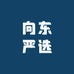 向东严选