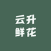 云升鲜花