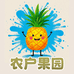 农户果园批发