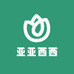 亚亚西西