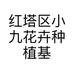 红塔区小九花卉种植基地的小店个体店