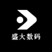 盛大数码