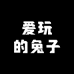 爱玩的兔子