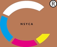 NSYCA家用五金旗舰店