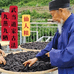 武当冲虚堂养生中心