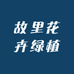 故里花卉绿植