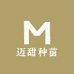 迈甜种苗