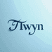 Twyn 双生眼镜