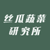 重庆市合川丝瓜蔬菜研究所