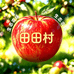 田田村生态农场