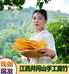 吉州区豆豆甄选