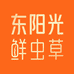 东阳光滋补养生旗舰店