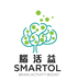 SMARTOL BRAIN ACTIVITY BOOST 腦活益海外旗舰店