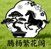 腾杨繁花阁