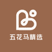五花马精选
