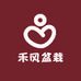 禾风盆栽