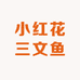 小红花三文鱼