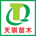 天骐苗木