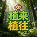 植来植往热植