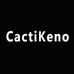 CactiKeno男士内裤品质店