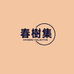 春树集优选女装