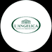 l'ANGELICA ISTITUTO ERBORISTICO海外旗舰店