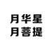 月华星月菩提