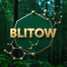 Blitow海外旗舰店