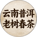 云南普洱老树春茶