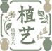 植艺永生花