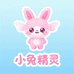 小兔精灵