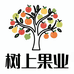 树上果业